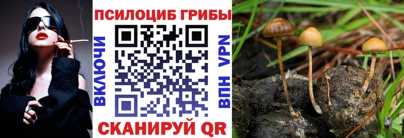 Псилоцибиновые грибы мухоморы  Купить закладки  Няндома 